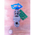 Forged Steel F316L 1" Class150 Sw Gate Valve